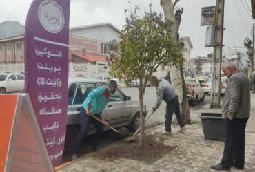 کاشت درخت جهت حفظ و گسترش فضای سبز