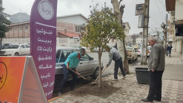 کاشت درخت جهت حفظ و گسترش فضای سبز