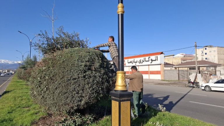 هرس و فرم دهی درختچه های بلوار شهید بهشتی